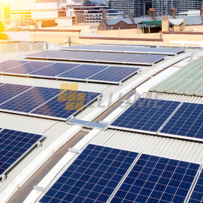 Ellume swan ProjectS