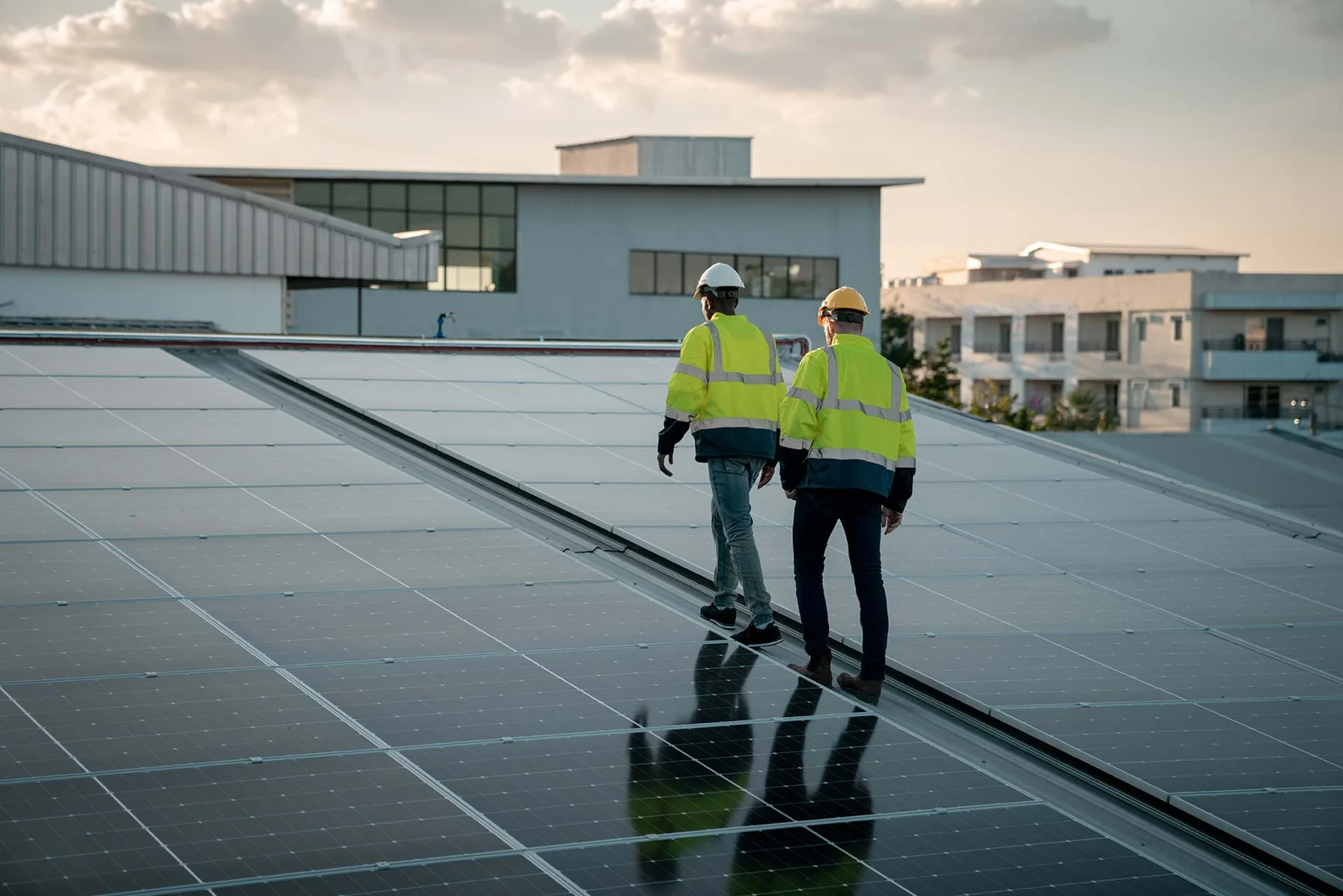 Logical & Structural Consistency